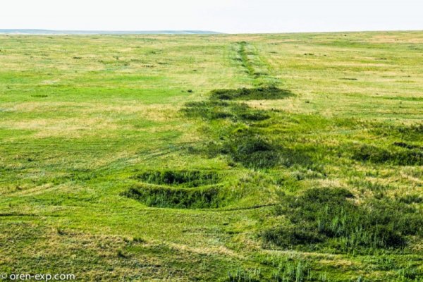 Ссылка адрес на кракен