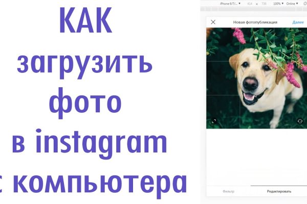 Гидра в даркнете