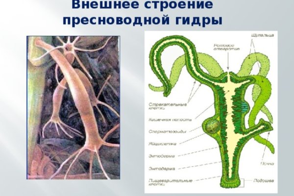 Магазин kraken даркнет