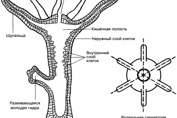 Где купить наркотиков