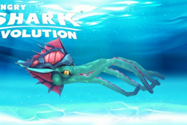Kraken магазин