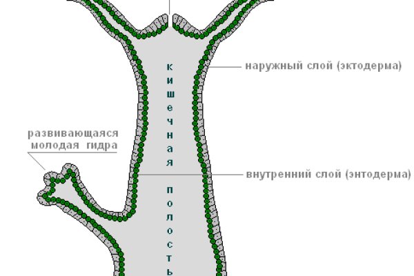 Kra31.cc