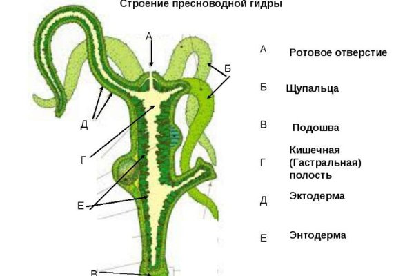Кракен дарк оригинал ссылка