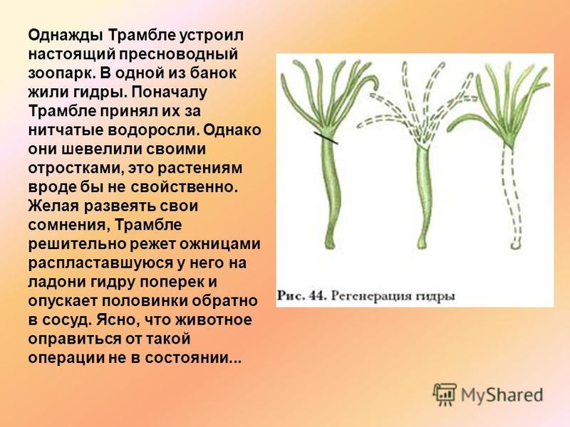 Кракен рабочая ссылка