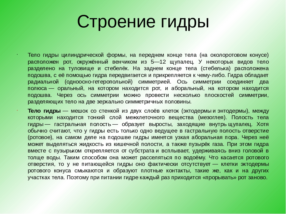 Взломали аккаунт кракен